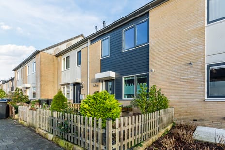 undefined main image