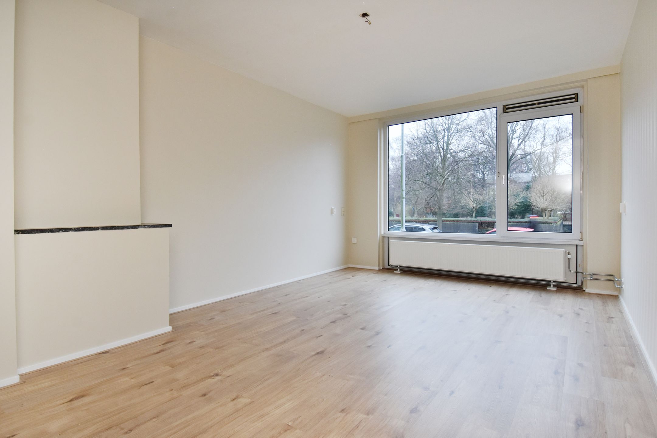 Foto 3 van Spinozalaan 71