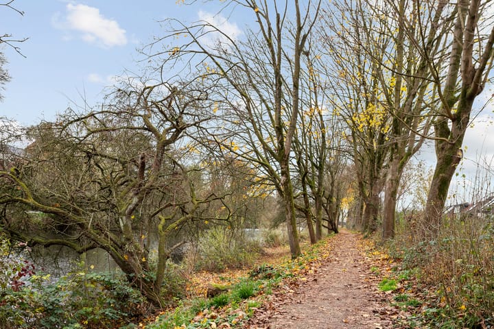 Foto 41 van Balearen 20