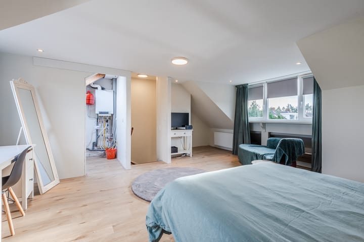 Foto 34 van Bothastraat 52