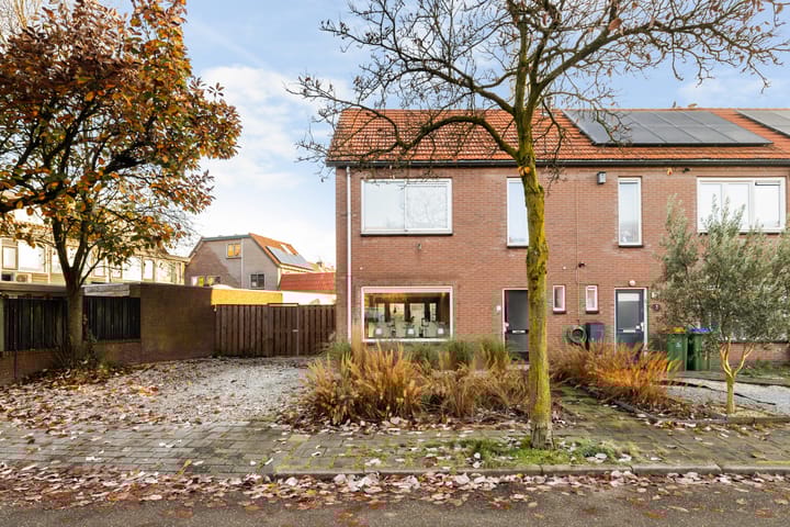 Foto 29 van Borneolaan 1