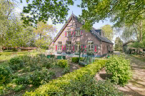 Birkstraat thumbnail