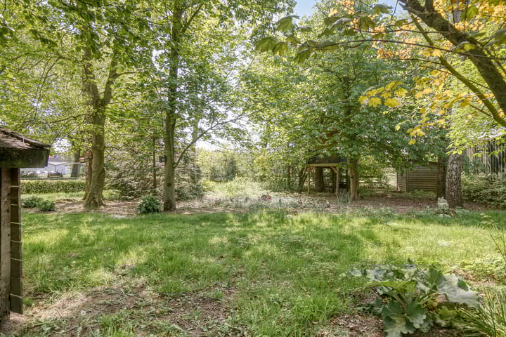 Photo 3 of Birkstraat 137