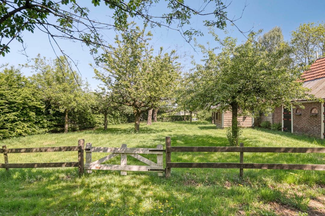 Foto 7 van Birkstraat 137