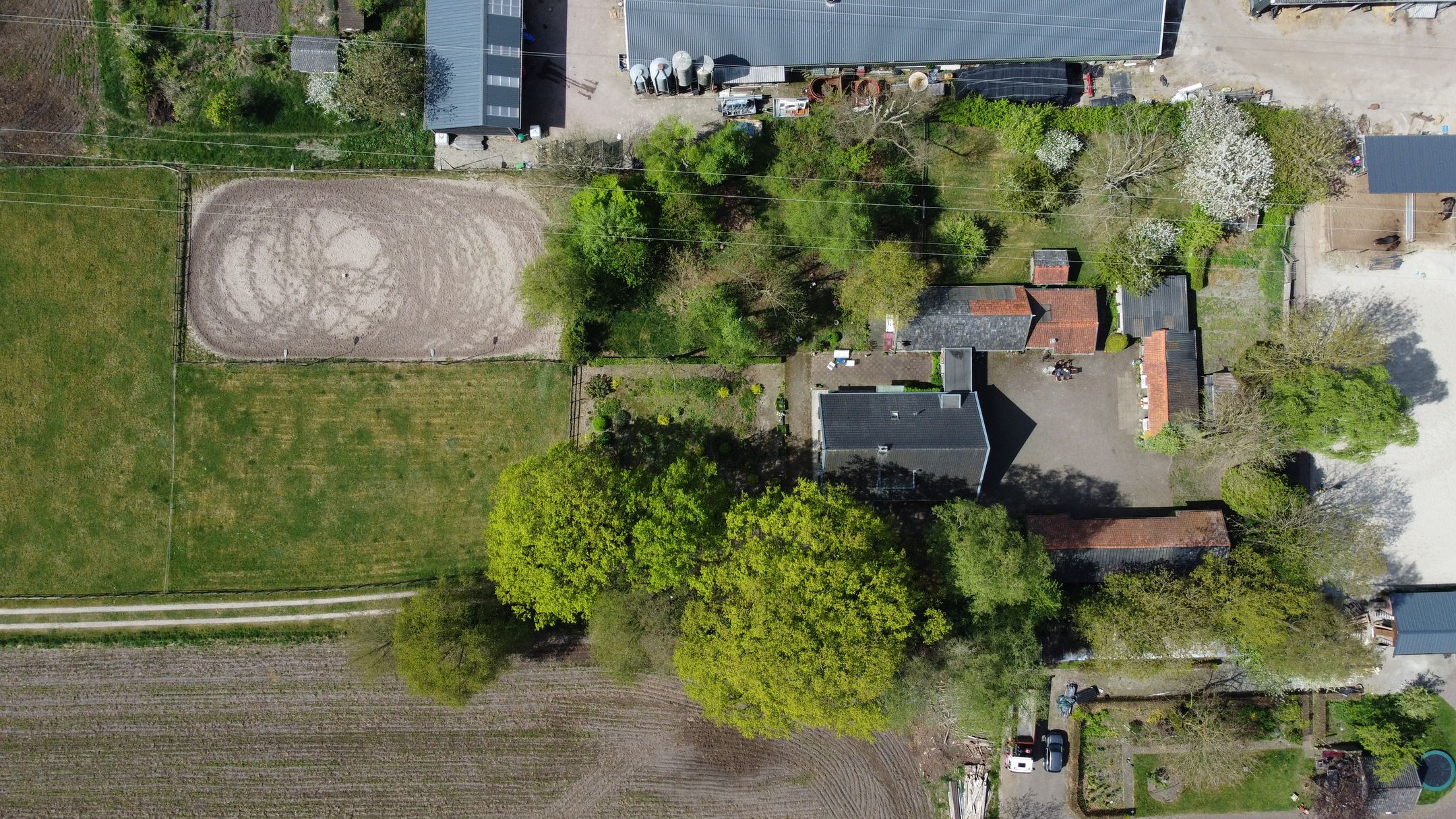 Foto 48 van Birkstraat 137