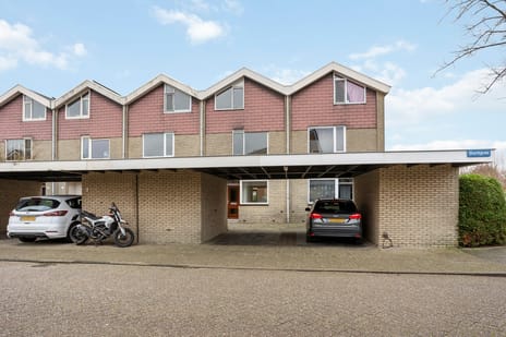 undefined main image