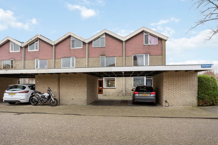 Foto 1 van Buntgras 3