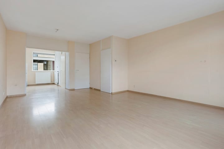 Foto 5 van Buntgras 3