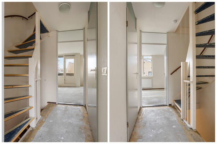 Foto 8 van Buntgras 3