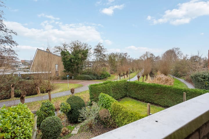 Foto 12 van Buntgras 3