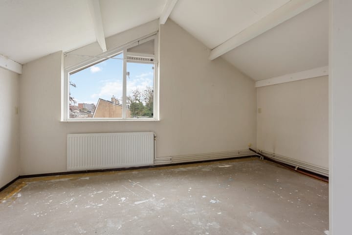 Foto 18 van Buntgras 3