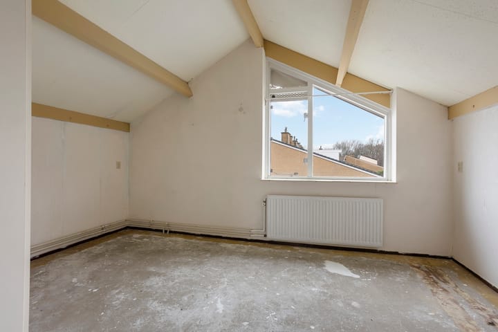 Foto 20 van Buntgras 3