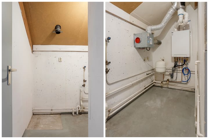 Foto 23 van Buntgras 3