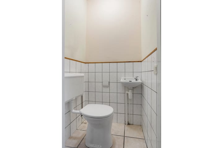 Foto 24 van Buntgras 3