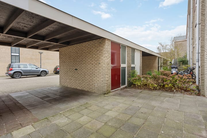 Foto 30 van Buntgras 3