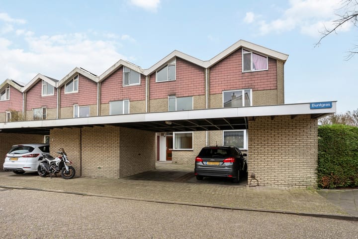 Foto 32 van Buntgras 3