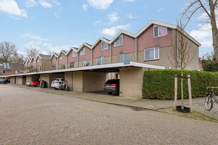 Foto 33 van Buntgras 3