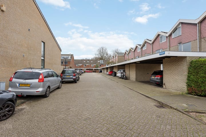 Foto 34 van Buntgras 3