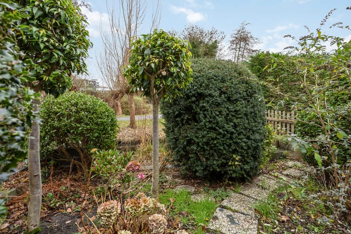 Foto 28 van Buntgras 3