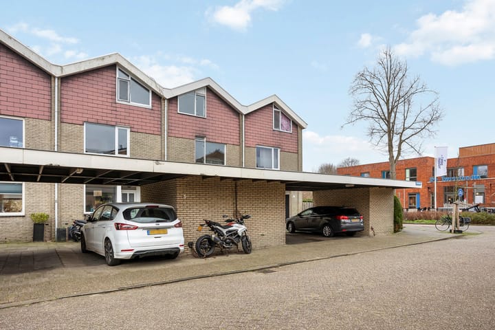 Foto 35 van Buntgras 3