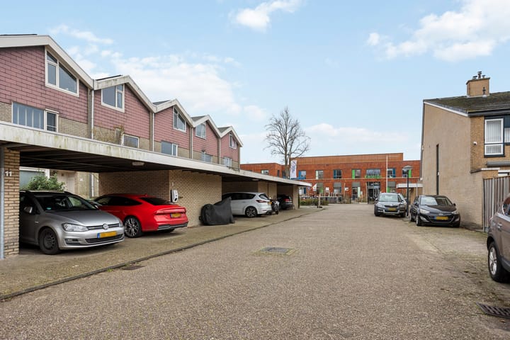 Foto 36 van Buntgras 3