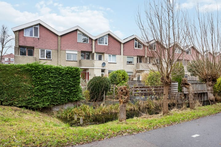 Foto 37 van Buntgras 3