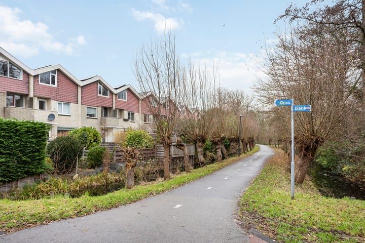 Foto 38 van Buntgras 3