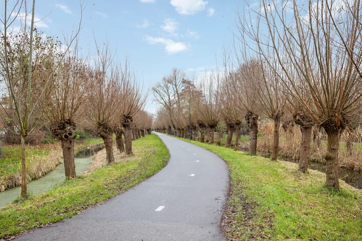 Foto 39 van Buntgras 3