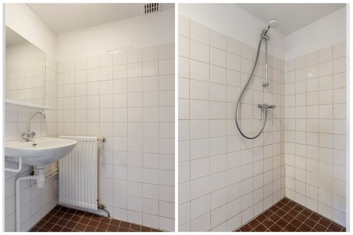 Foto 22 van Buntgras 3