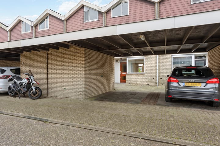 Foto 31 van Buntgras 3