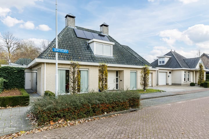 Foto 6 van Buntvelden 6