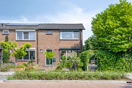 van Gelderstraat thumbnail