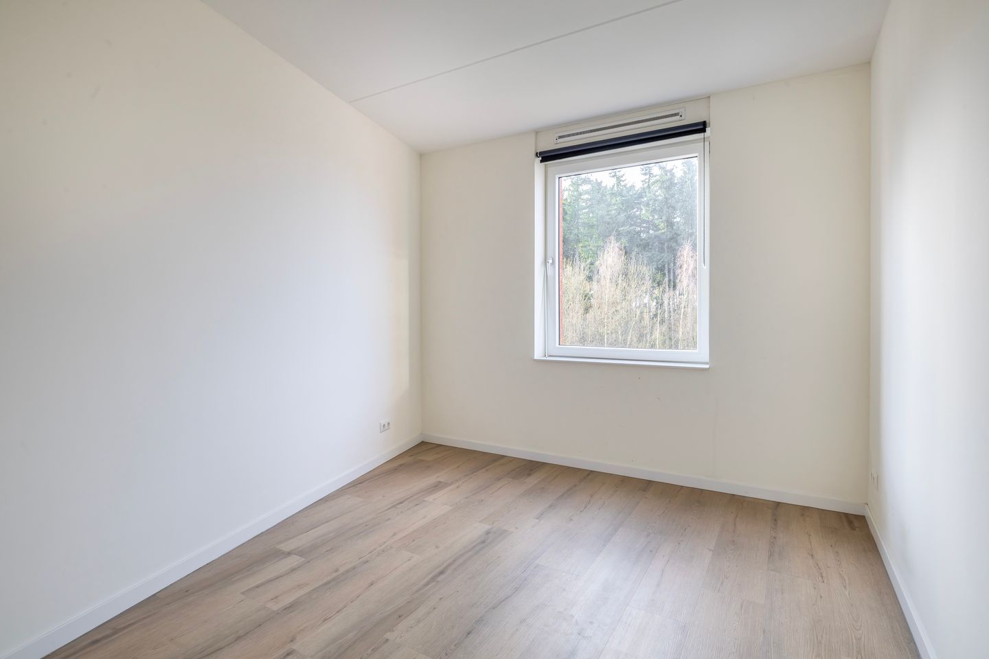 Foto 25 van Meerring 184