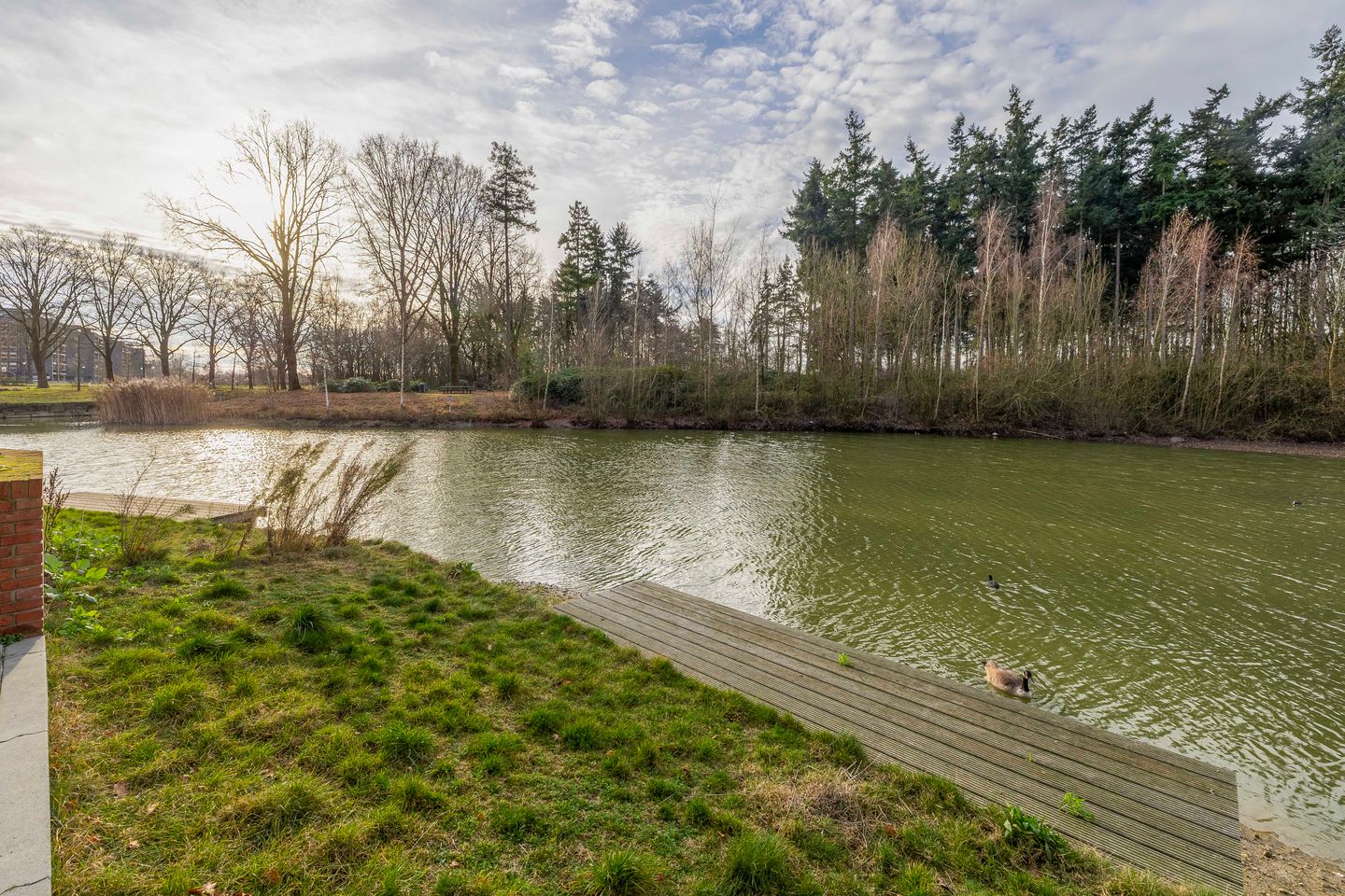 Foto 34 van Meerring 184