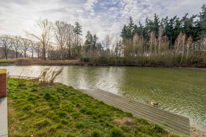 Foto 34 van Meerring 184