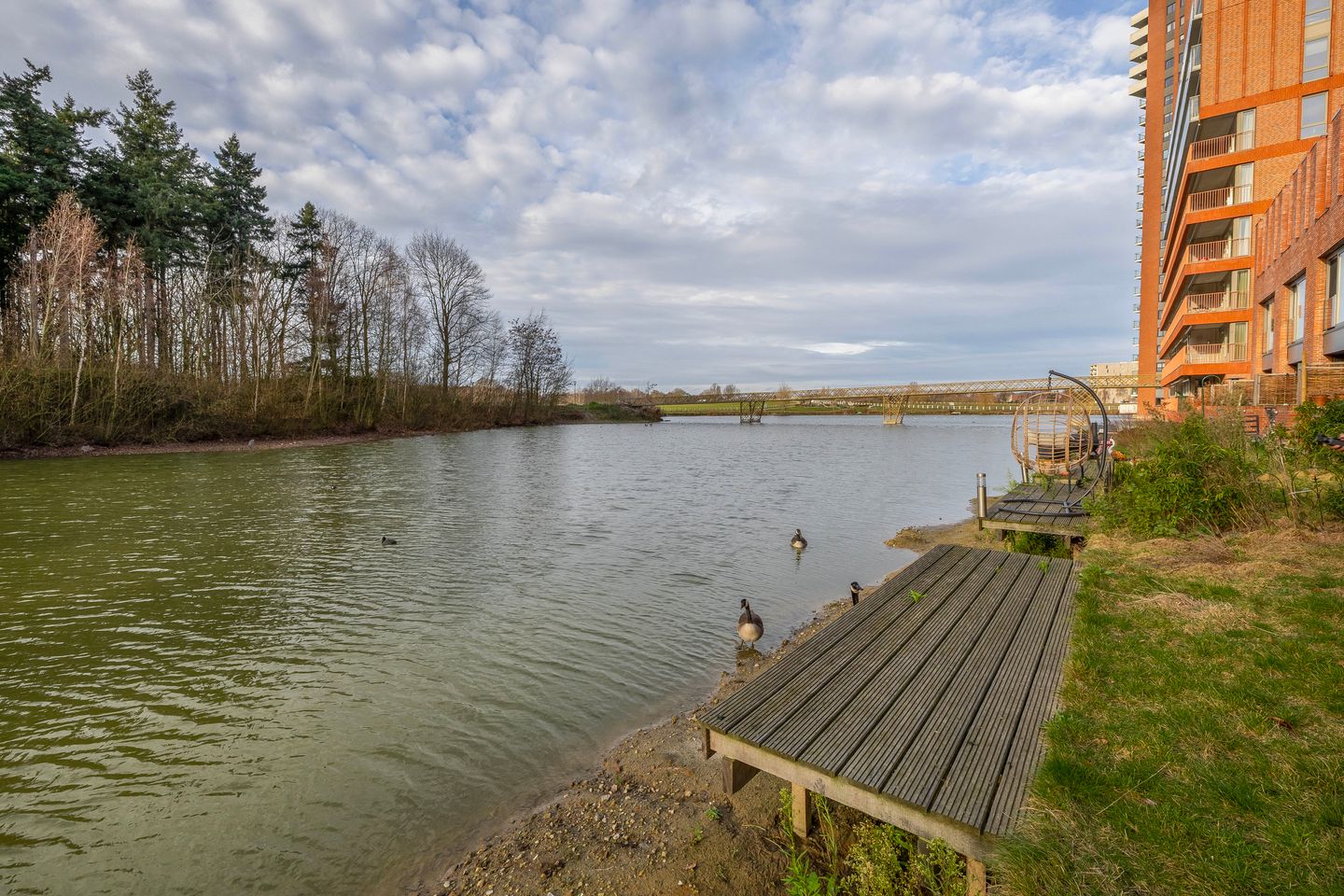 Foto 35 van Meerring 184