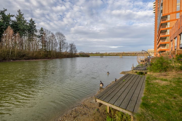 Foto 35 van Meerring 184