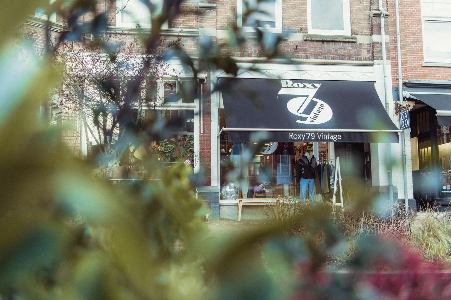 Bekijk foto 2 van Nachtegaalstraat 36