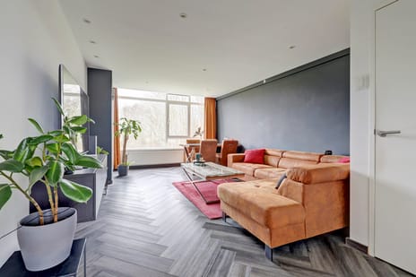 Wijnruitstraat thumbnail