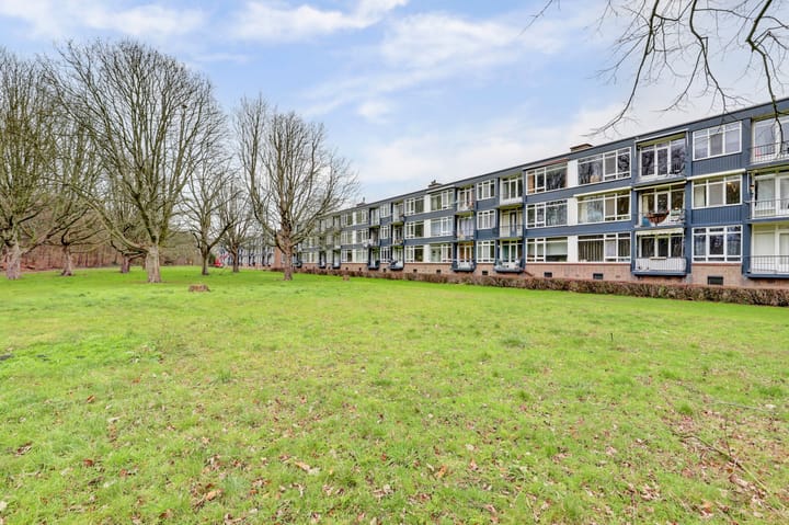 Foto 23 van Wijnruitstraat 117