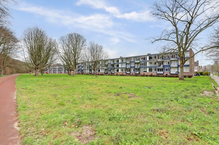 Foto 27 van Wijnruitstraat 117