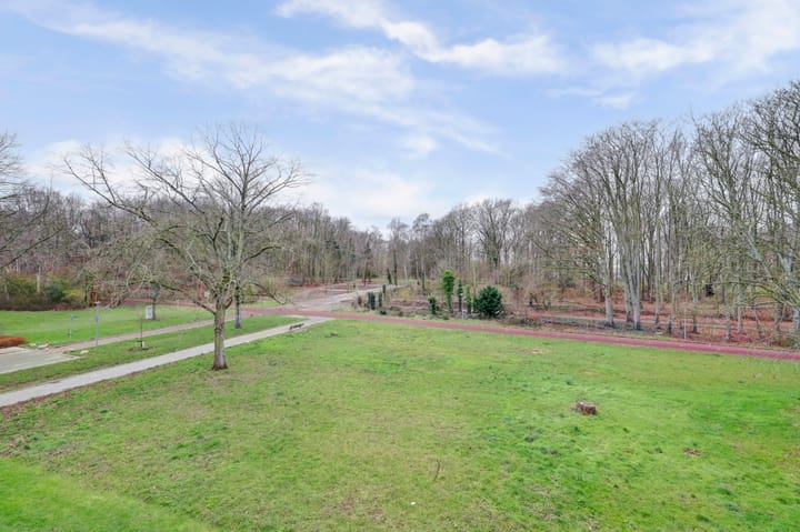 Foto 24 van Wijnruitstraat 117