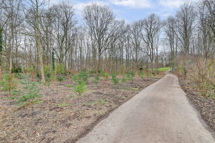 Foto 25 van Wijnruitstraat 117