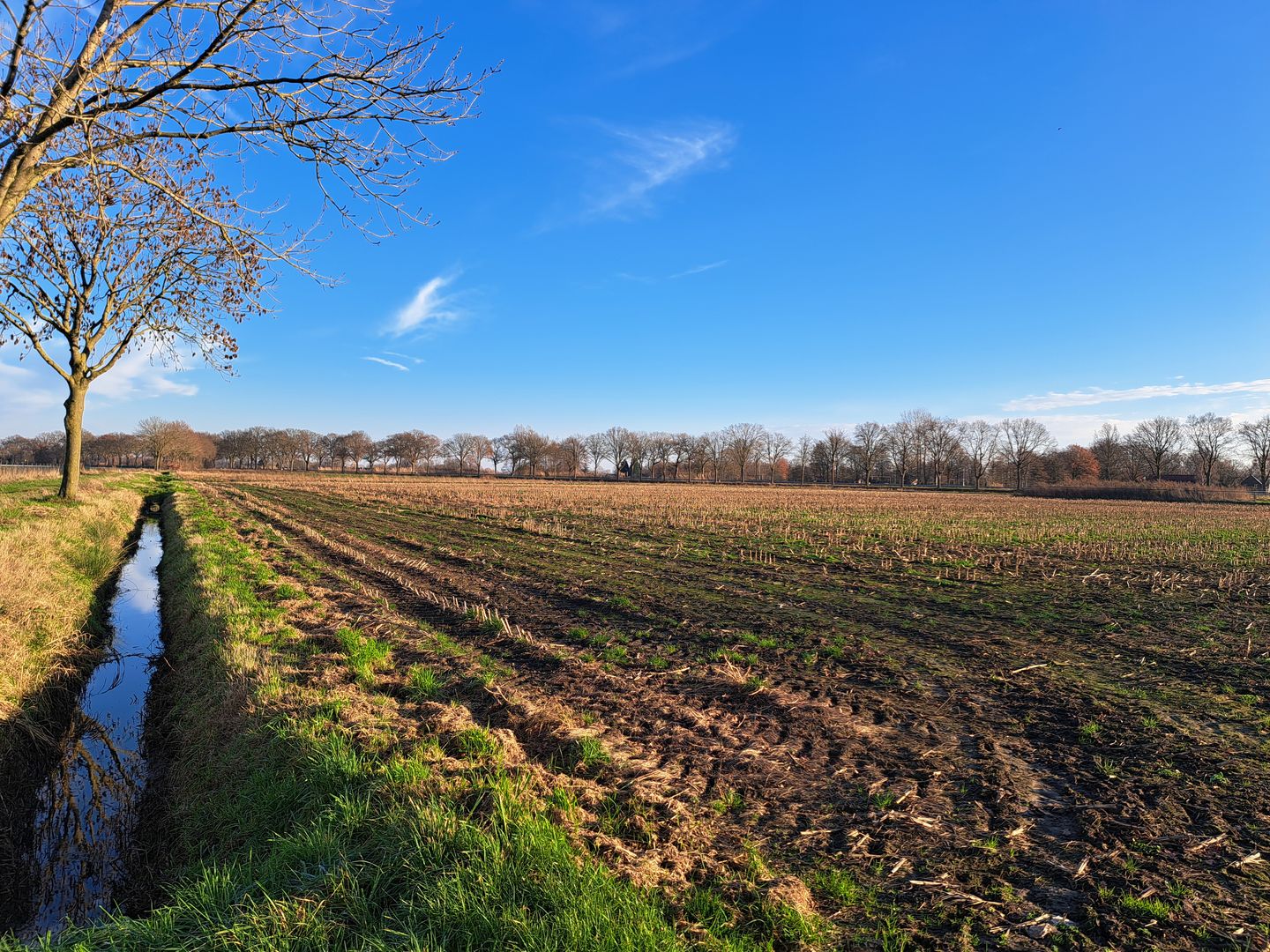 View photo 3 of Breubensteeg