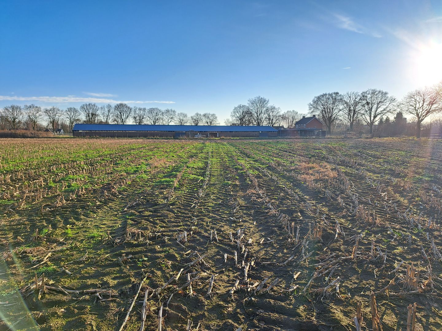 View photo 4 of Breubensteeg