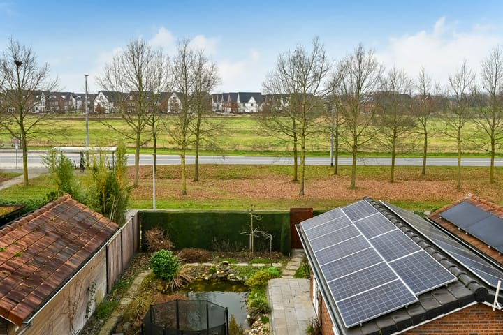 Foto 24 van Romeinenveld 13