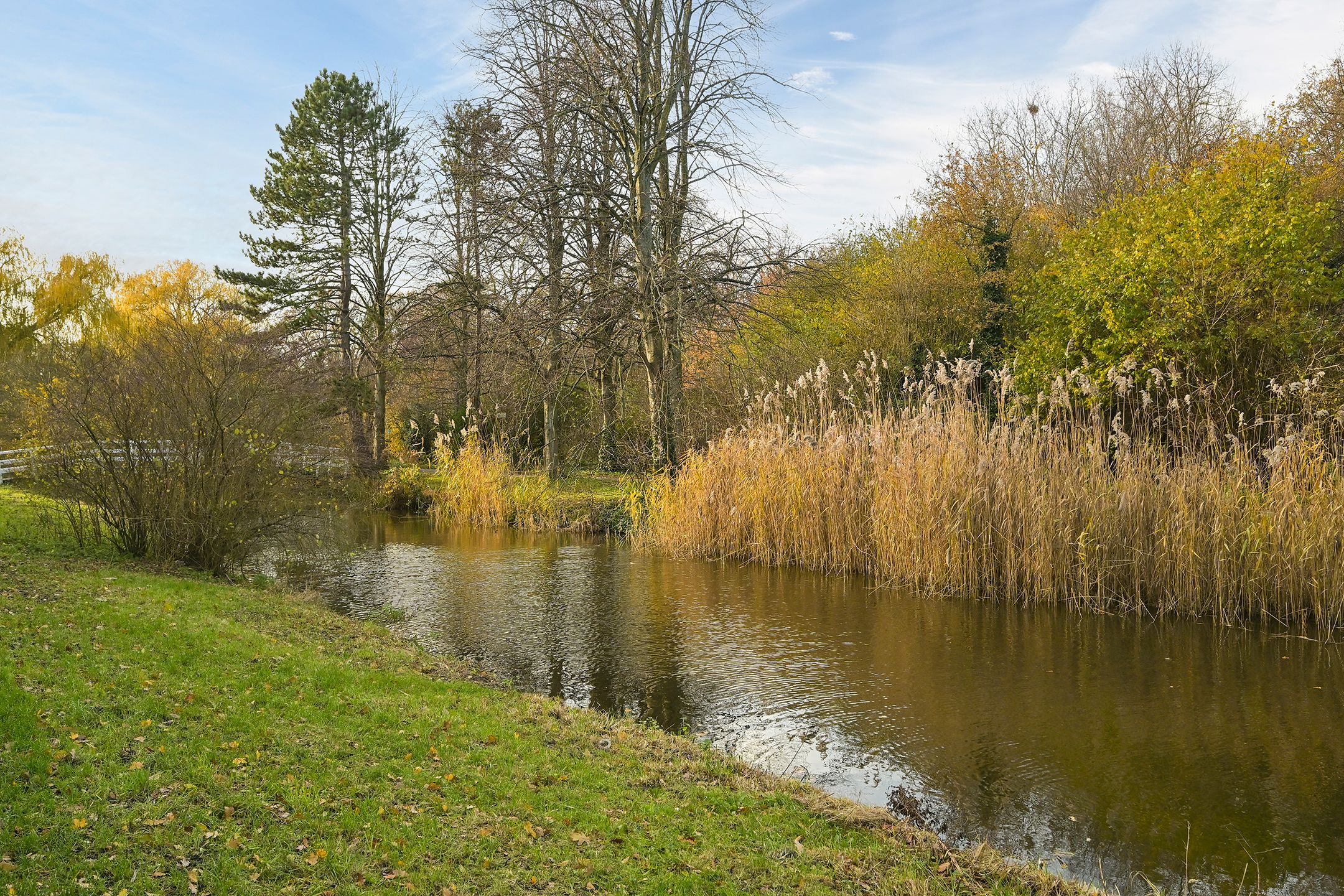 Foto 42 van Segbroeklaan 76