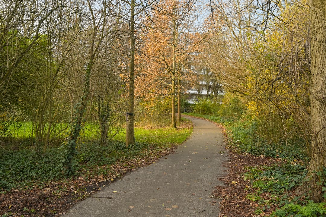 Foto 43 van Segbroeklaan 76