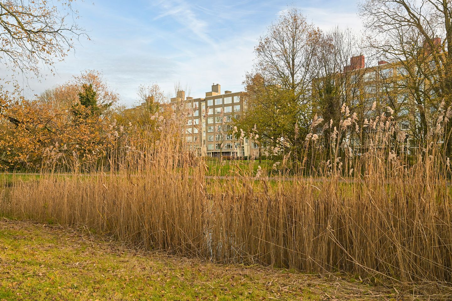 Foto 44 van Segbroeklaan 76