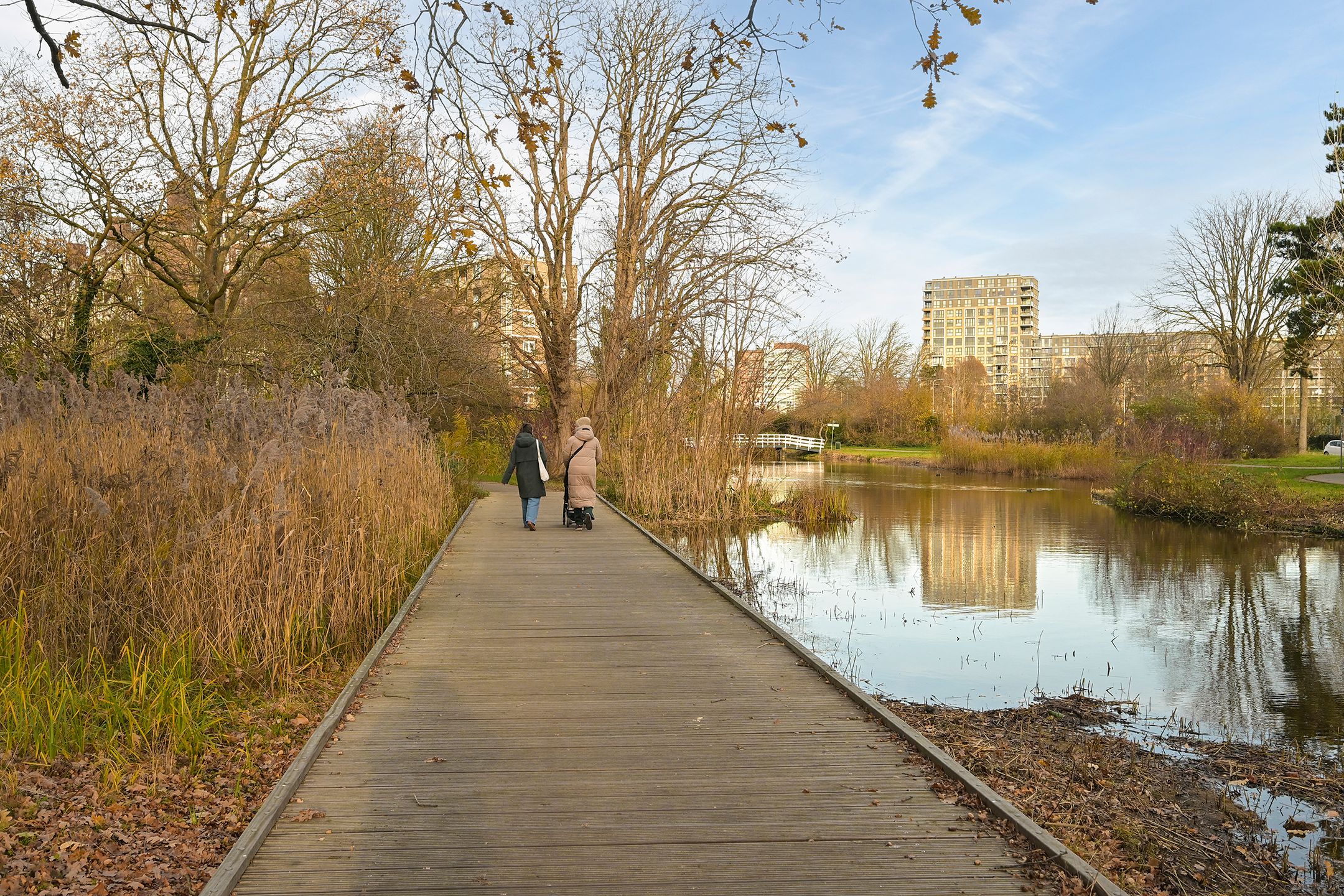 Foto 45 van Segbroeklaan 76